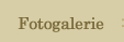 Fotogallery