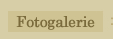 Fotogallery