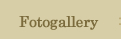Fotogallery