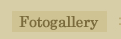 Fotogallery